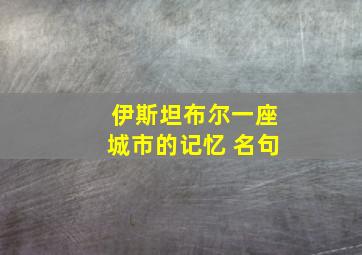 伊斯坦布尔一座城市的记忆 名句